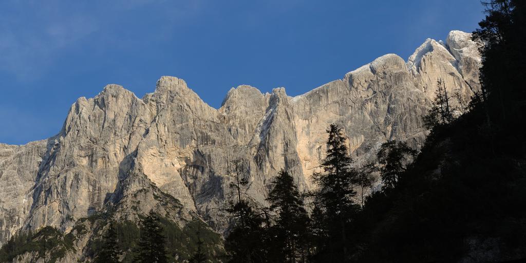 Gasthof Dorfwirt Ardning Esterno foto